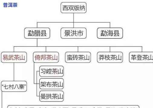 广东普洱茶产地和特点，探秘广东普洱茶：产地与特别特点解析