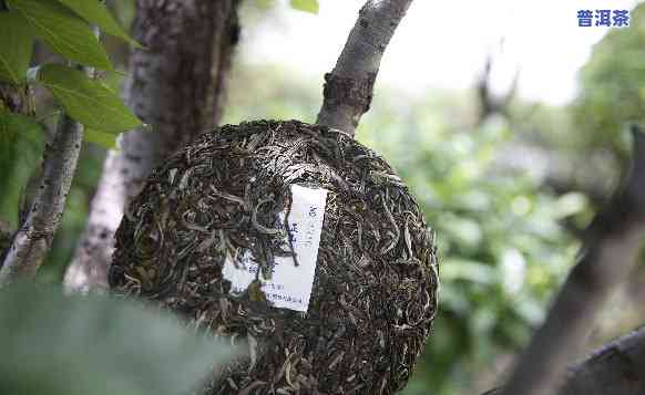 普洱茶的场，探秘普洱茶场：一窥茶叶交易的秘密世界