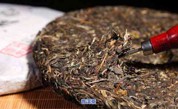 普洱茶饼正确冲泡方法视频教程