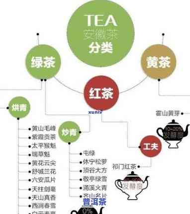 普洱茶公母区分图表大全图片，详解普洱茶的公母区分：图表大全图片解析