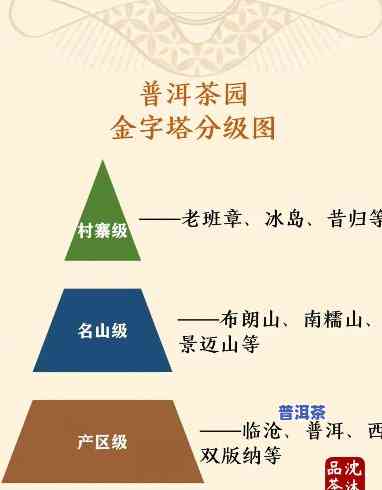 普洱茶公母区分图表高清-普洱茶公母区分图表高清大图