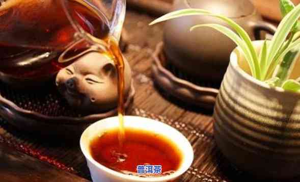 普洱新茶为什么上火-普洱新茶为什么上火呢