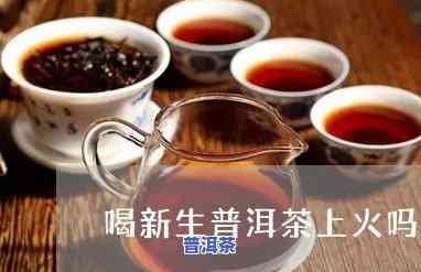 普洱新茶为什么上火-普洱新茶为什么上火呢