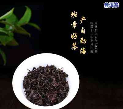 宫廷普洱散茶的等级-宫廷普洱散茶的等级分类