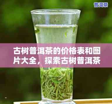 古树普洱茶的价格表和图片大全，全网最全！古树普洱茶价格表及高清图片大揭秘