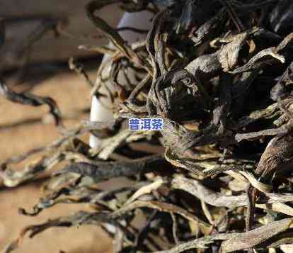 普洱茶在古代是低端茶吗？探究其历史地位与价值