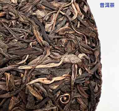 探索枣香味普洱茶：品种、口感及推荐