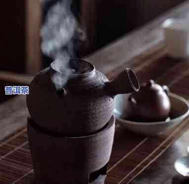 哪种普洱茶需要煮，煮茶达人的必知：哪些普洱茶适合煮？