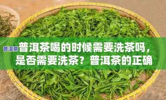 老班章需要洗茶吗，探讨老班章普洱茶是不是需要实施洗茶操作