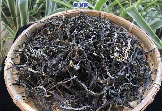 散茶算不算普洱茶生茶类-散茶算不算普洱茶生茶类别