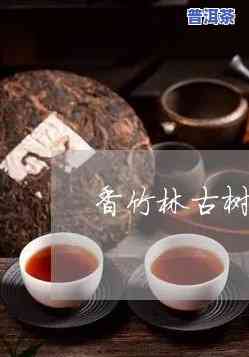 竹香林普洱茶价格多少钱-竹香林普洱茶价格多少钱一斤