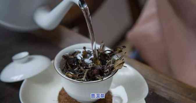 白茶与普洱茶：哪个更值得长期收藏？