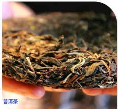 养心堂普洱茶多少钱一盒-养心堂普洱茶多少钱一盒啊