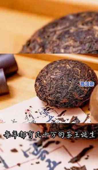 怎么给普洱茶估价的钱呢？视频教程全解析