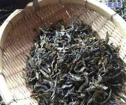 普洱茶毛茶加工厂家电话多少，寻找普洱茶毛茶加工厂家？联系电话大全在此！