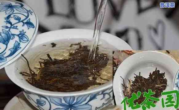 海边的普洱茶叫什么茶？图片全览