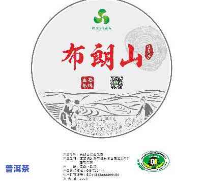 探究布朗山乔木生茶的特别特点及其市场价值