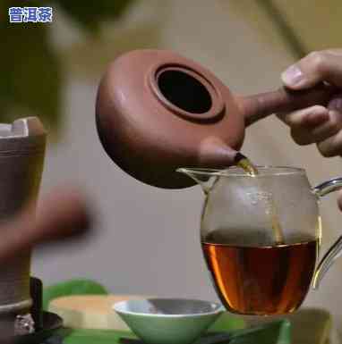 熟普洱茶为何可煮饮？探析其煮茶起因与方法视频