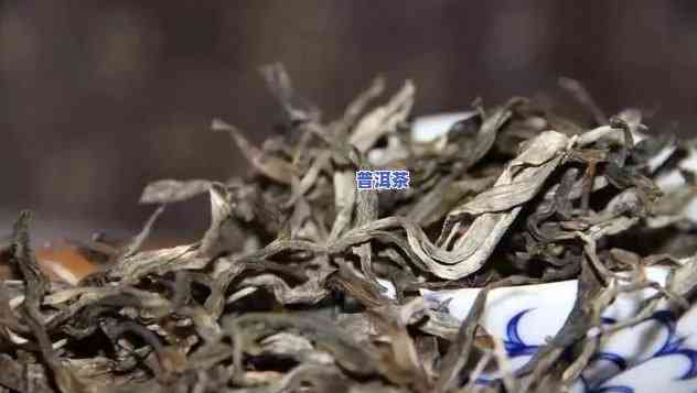 普洱茶怎么选？类型、图片、视频全解析！