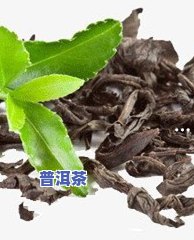 结石可以喝普洱茶吗？女性适用吗？