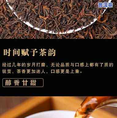 宫廷级的普洱投茶量-普洱茶 宫廷级