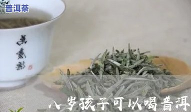 八岁男孩能喝生普洱茶吗-八岁男孩能喝生普洱茶吗好吗