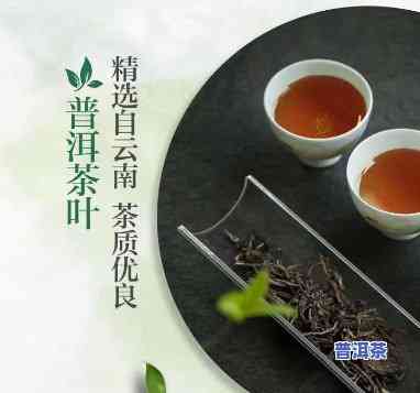 淳茶舍普洱消茶热量-淳茶舍普洱茶功效