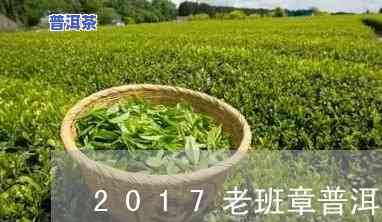 老班章百年印象价格-百年老班章2017