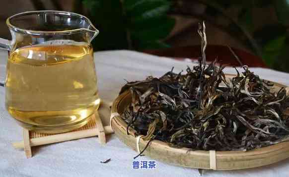 普洱10大名茶雨林-普洱茶 雨林