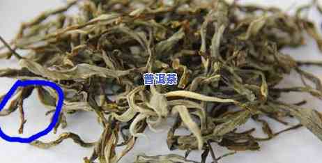 台地茶普洱茶价格多少钱-台地茶普洱茶价格多少钱一斤