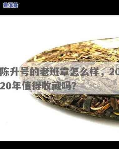 陈升老班章：2020年价格及升值空间解析，是不是值得收藏？