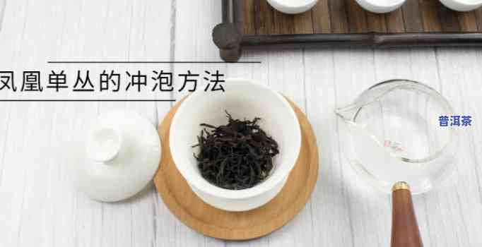 普洱茶凤凰单枞：怎样冲泡出更佳口感？