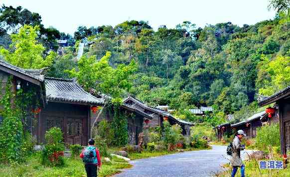 老班章景区，探秘古老茶马古道：老班章景区的魅力与风情