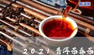 2021普洱春茶上市时间预测及最新资讯