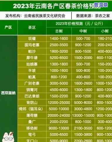 今年老班章春茶价格，最新！2023年老班章春茶价格行情报告