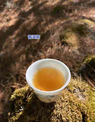 普洱茶的出名茶人是什么茶，探寻普洱茶名人：哪些茶人对普洱茶的发展做出了关键贡献？