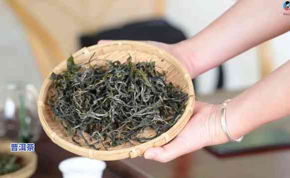 普洱茶能否转化为茶类茶：从茶叶到茶水的全过程解析