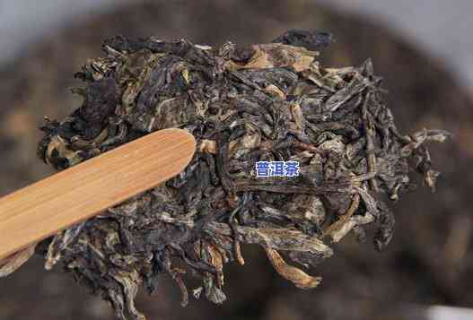 普洱茶是不是能转化为茶叶-普洱茶是不是能转化为茶叶呢