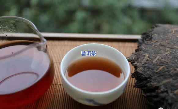 中茶普洱茶怎么喝才好？视频详解与教程