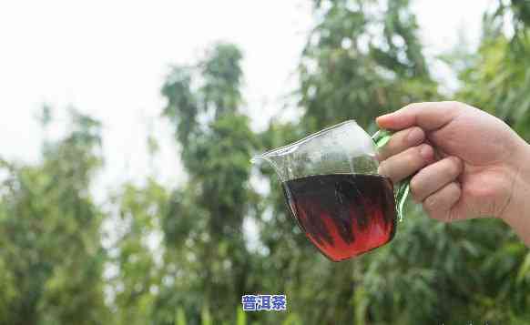 普洱茶可不可以做果茶呢？适合女生饮用吗？