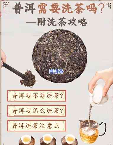 普洱散茶需要洗茶吗-普洱散茶需要洗茶吗为什么