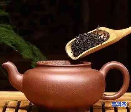 普洱茶适合用什么？从茶具到泥料，全面解析