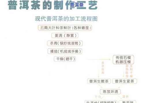 普洱茶的做工工艺，探究普洱茶的精细制作工艺：从采摘到发酵的过程解析