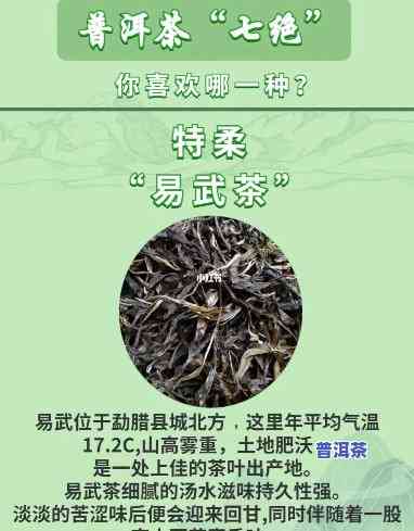 普洱茶苦甜茶品种及区别全解析