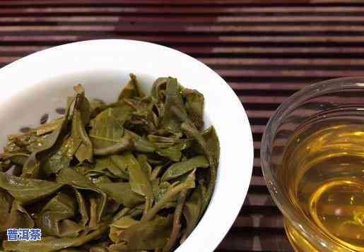 普洱茶：新茶与老茶，哪个更好？探讨口感与收藏价值