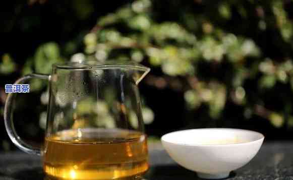 普洱茶：新茶与老茶，哪个更好？探讨口感与收藏价值