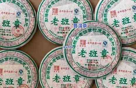 福海老班章2013茶饼，品味福海老班章2013茶饼：特别口感与历史文化的交融