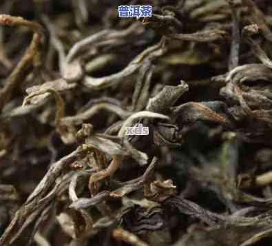 云南哪里生产普洱茶好喝-云南哪里生产普洱茶好喝一点