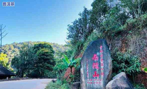 普洱古六山在哪个县-普洱古六山在哪个县城