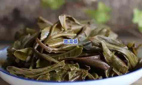 普洱茶一支是多少片，怎样确定普洱茶一支的茶叶片数？